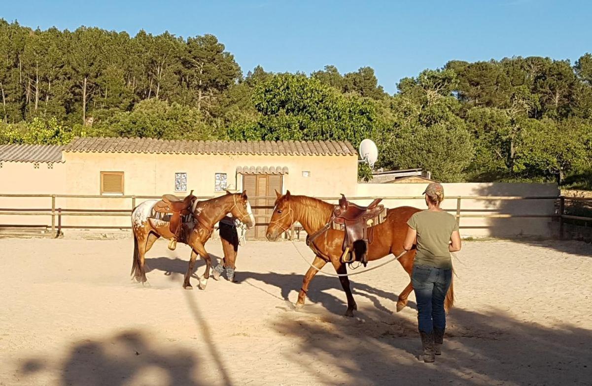 Finca Caballo Blanco Hotel Thị trấn Montuiri Ngoại thất bức ảnh