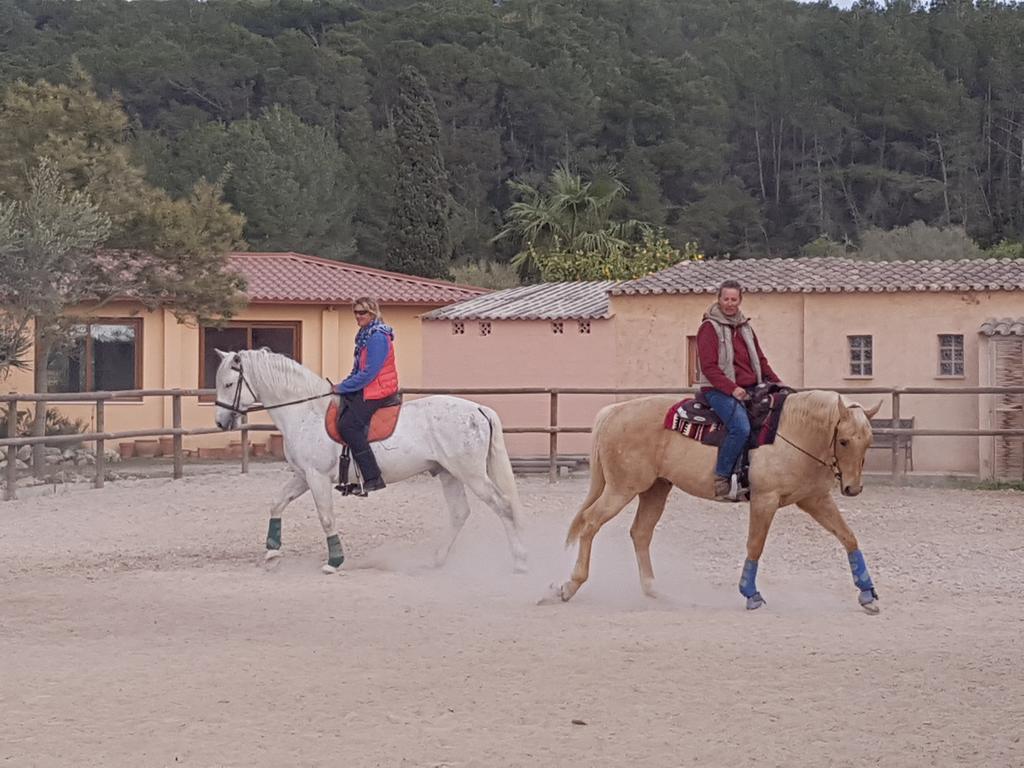 Finca Caballo Blanco Hotel Thị trấn Montuiri Ngoại thất bức ảnh
