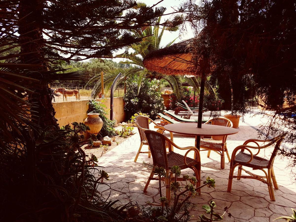Finca Caballo Blanco Hotel Thị trấn Montuiri Ngoại thất bức ảnh