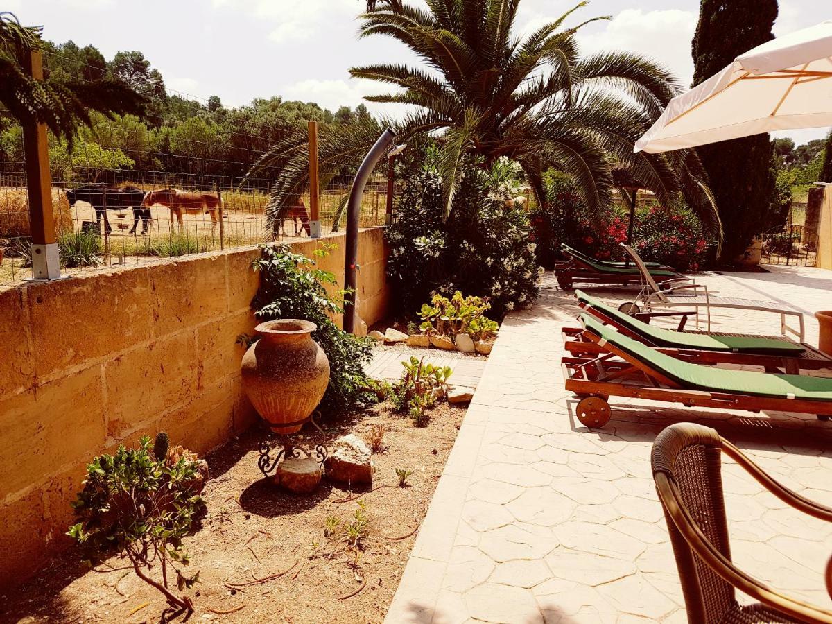 Finca Caballo Blanco Hotel Thị trấn Montuiri Ngoại thất bức ảnh